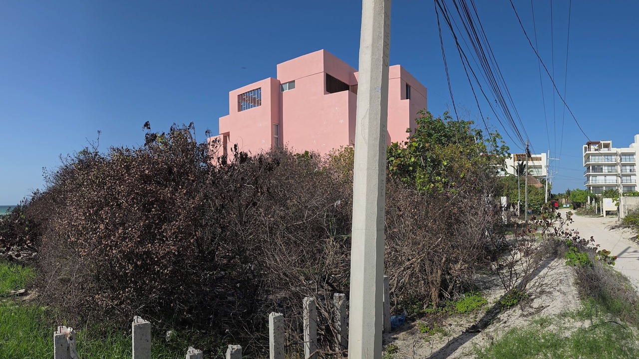 Photo of Outdoor in San Benito