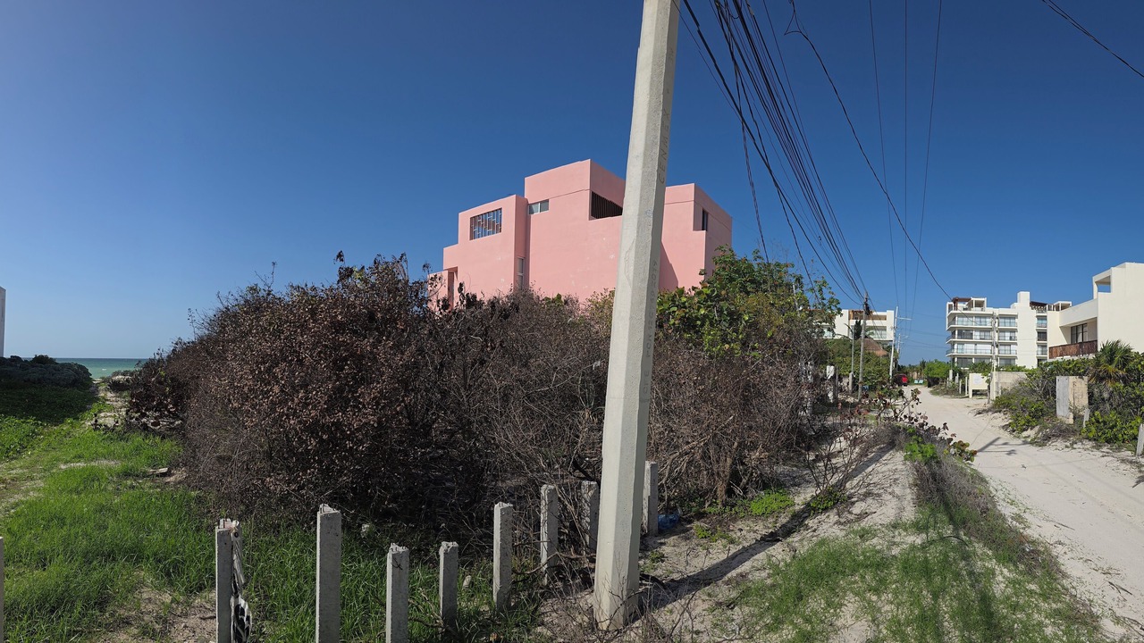 Photo of Outdoor in San Benito