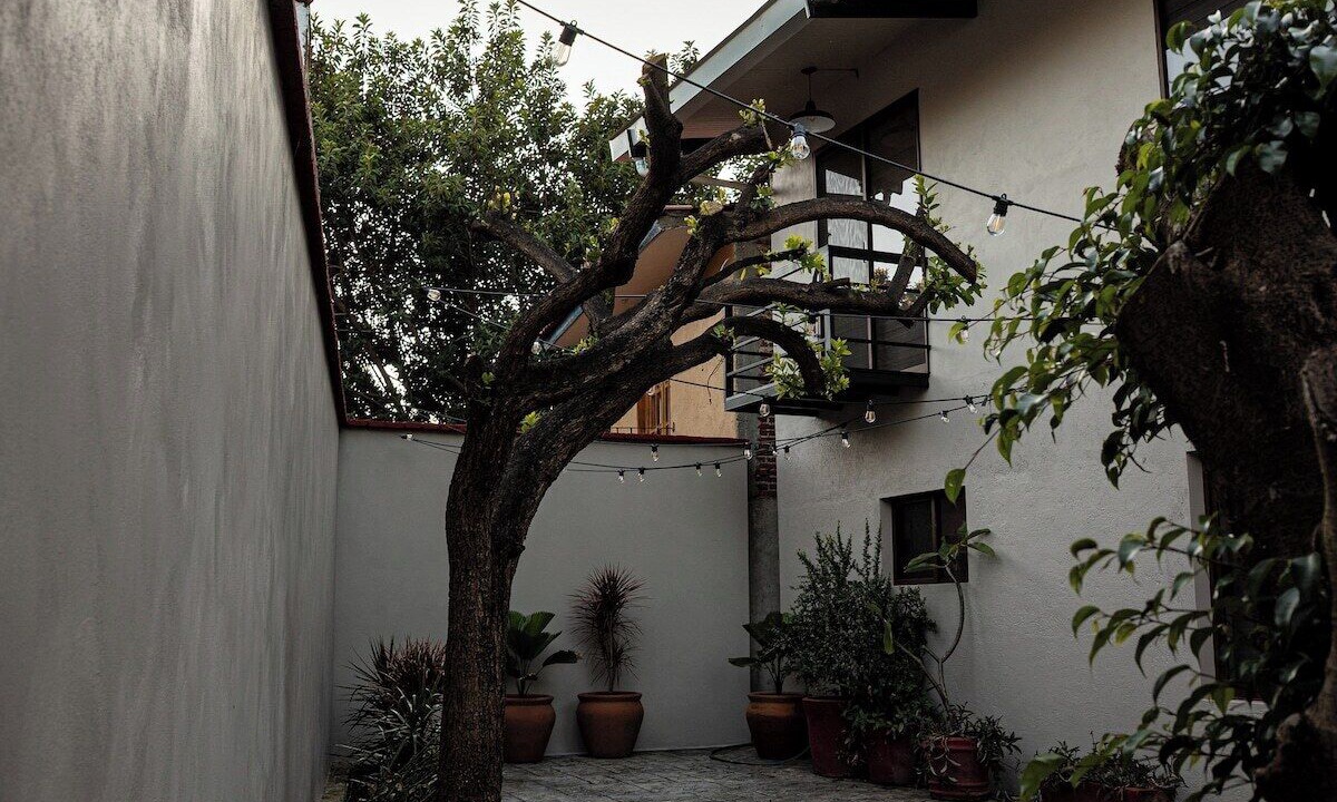 Photo of Outdoor in San Felipe del Agua