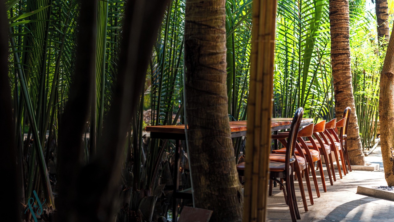Photo of Outdoor in Cam Thanh