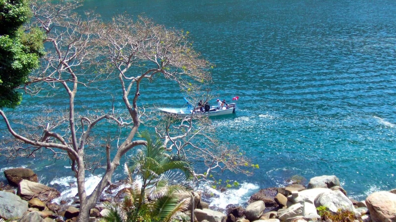 Photo of Others in Boca de Tomatlan