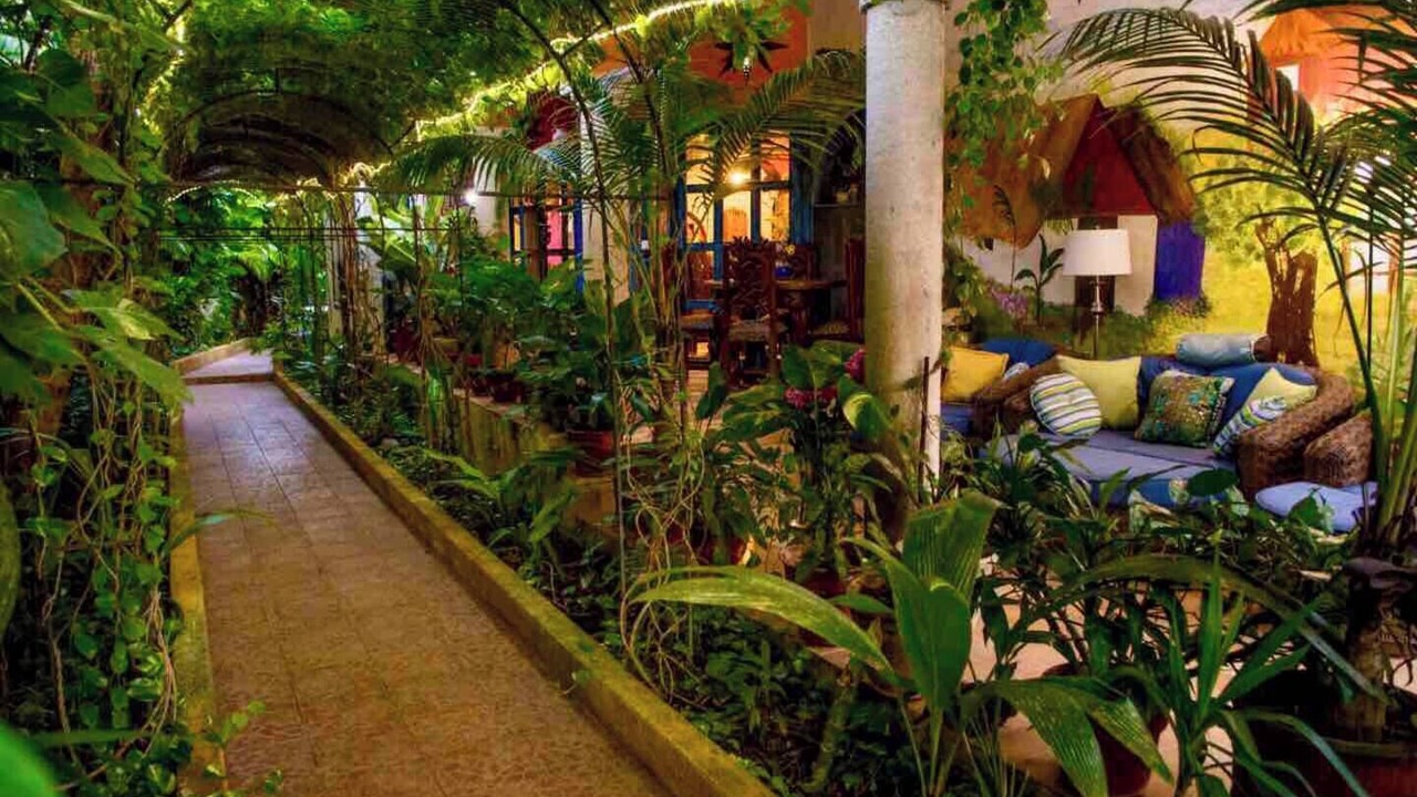 Photo of Outdoor in Colonia Maravilla