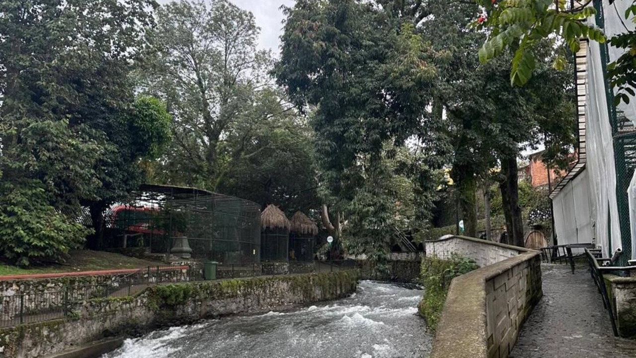 Photo of Others in Orizaba