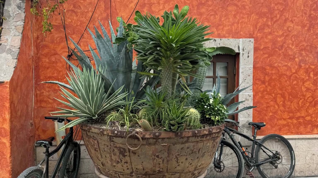 Photo of Outdoor in Loreto