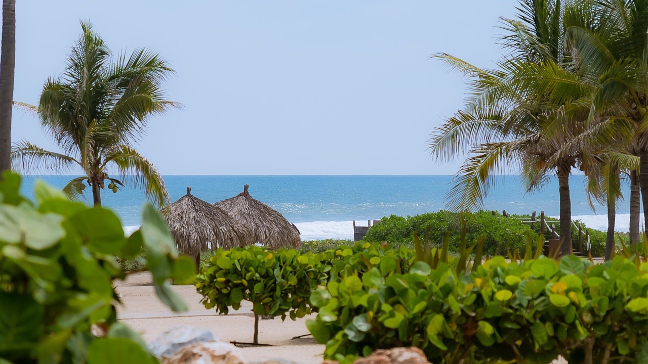 Photo of Others in Zihuatanejo