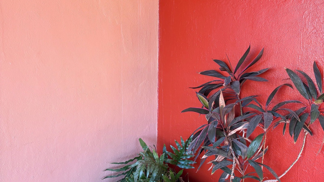 Photo of Outdoor in San Francisco