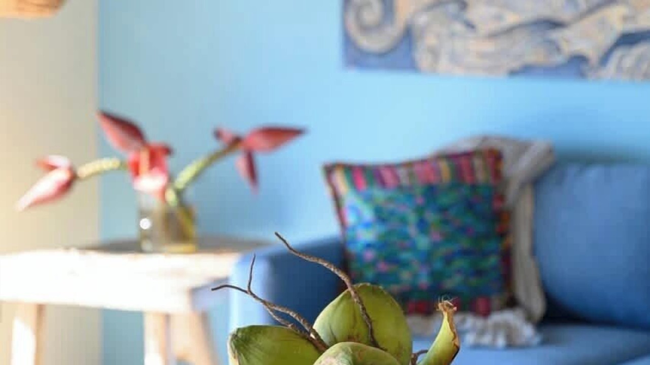 Photo of Livingroom in Emiliano Zapata