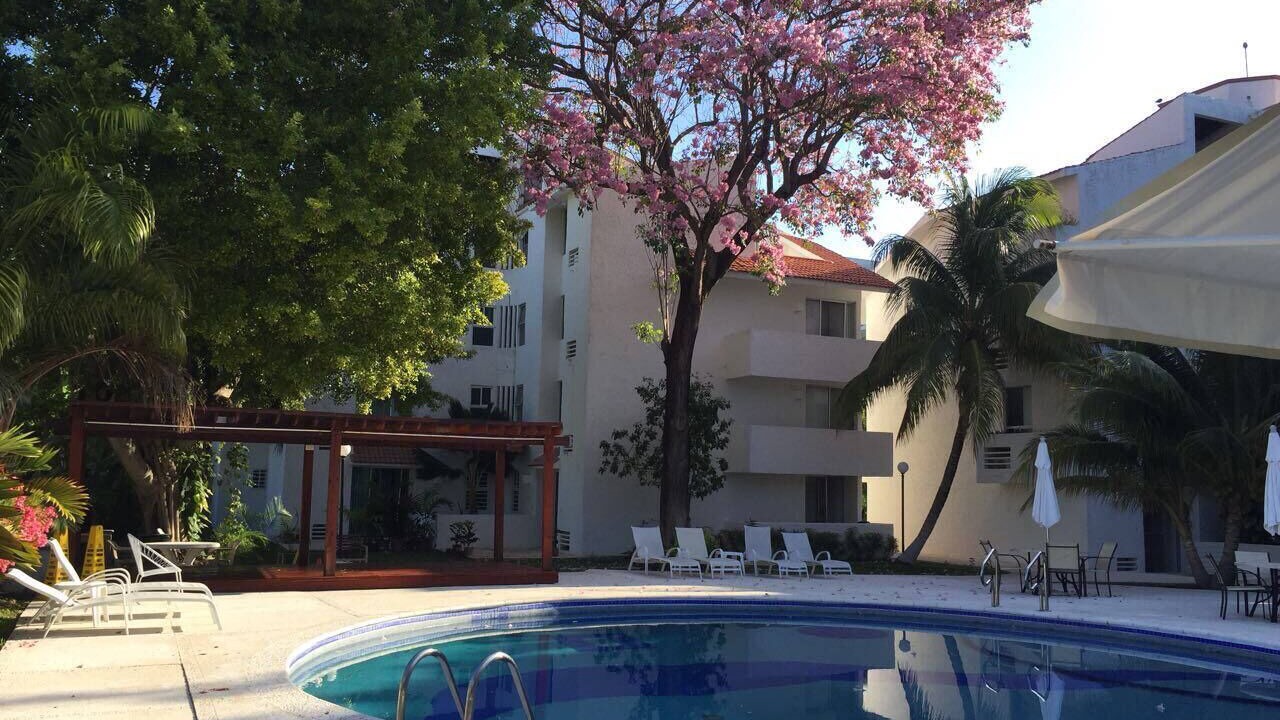 Photo of Others in Zona Hotelera