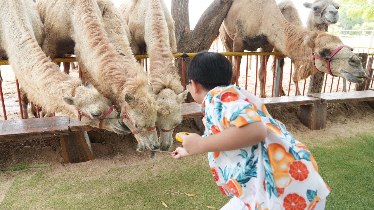 Photo of Others in Bac Binh