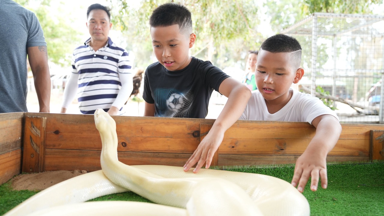 Photo of Others in Bac Binh