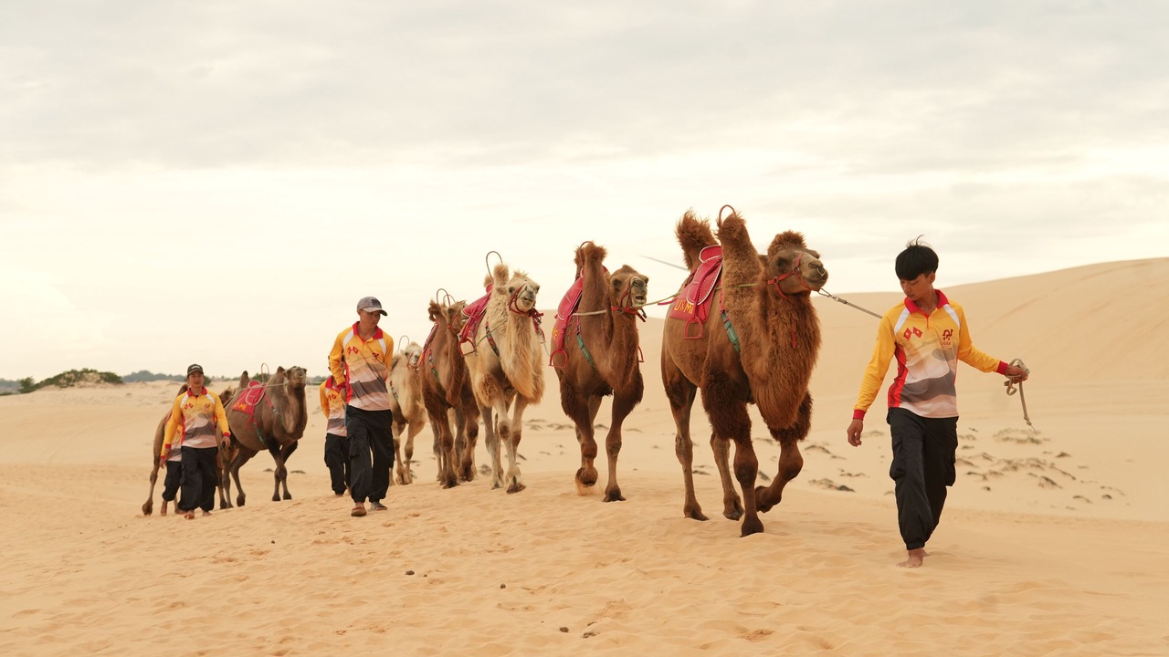 Photo of Outdoor in Bac Binh