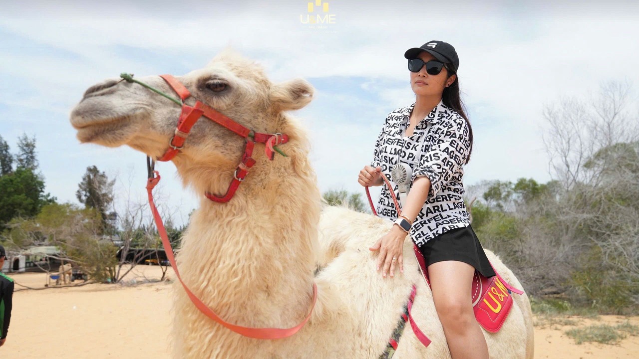 Photo of Others in Bac Binh