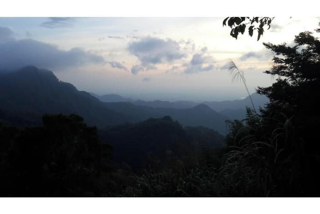 Photo of Others in Alishan