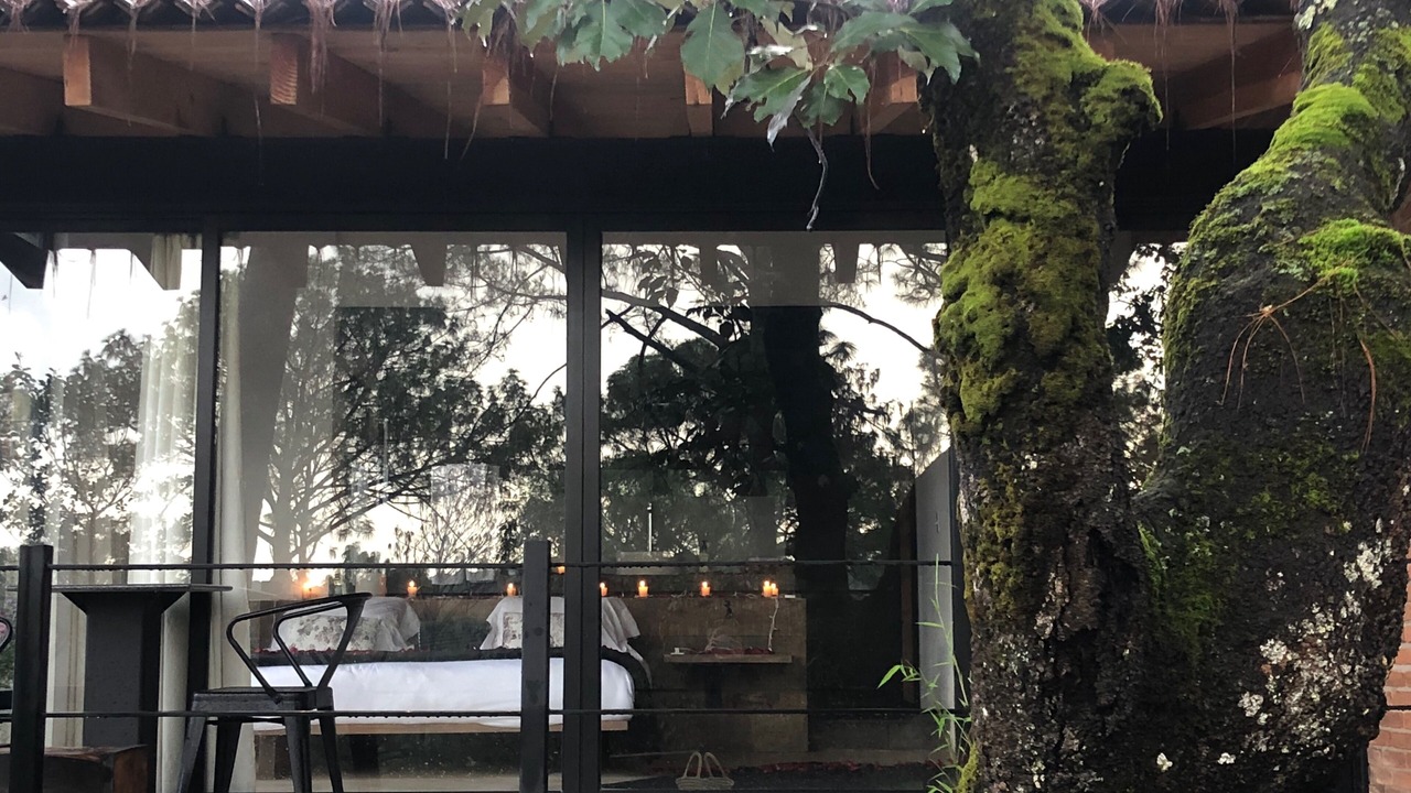 Photo of Bedroom in Balcones