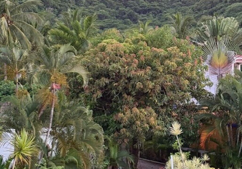 Photo of Outdoor in Los Ayala