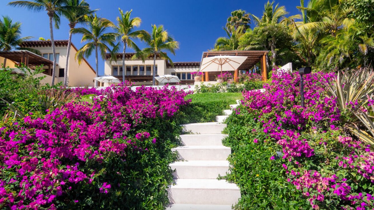 Photo of Outdoor in Punta de Mita