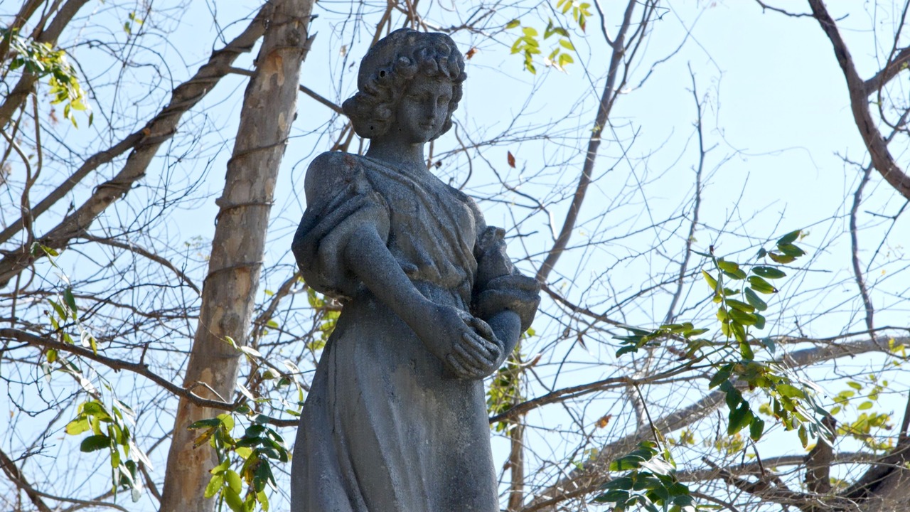 Photo of Outdoor in Ixtapa
