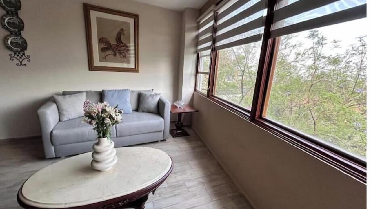 Photo of Livingroom in Coyoacan