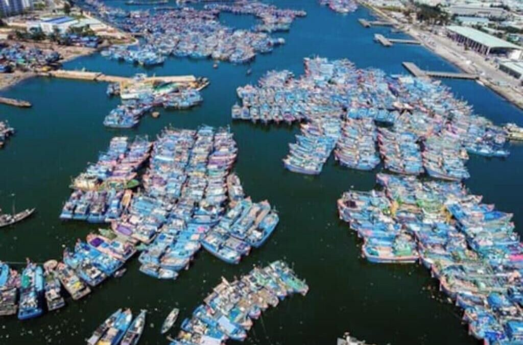 Photo of Others in An Hai Đong