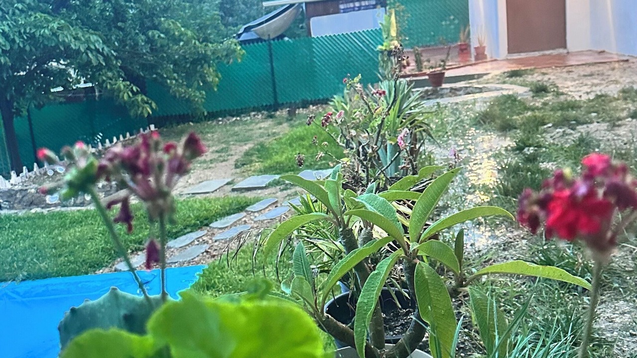 Photo of Outdoor in Santa Maria Atzompa
