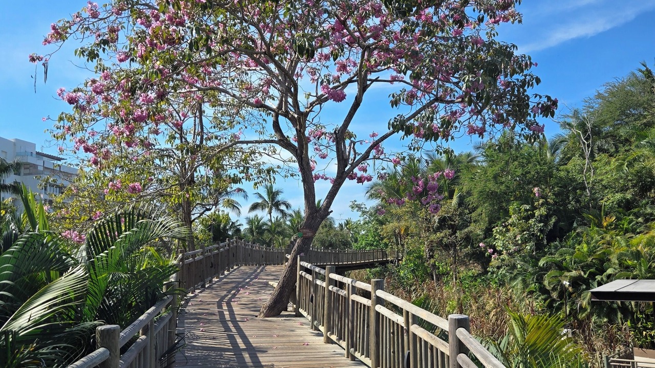 Photo of Outdoor in Las Jarretaderas