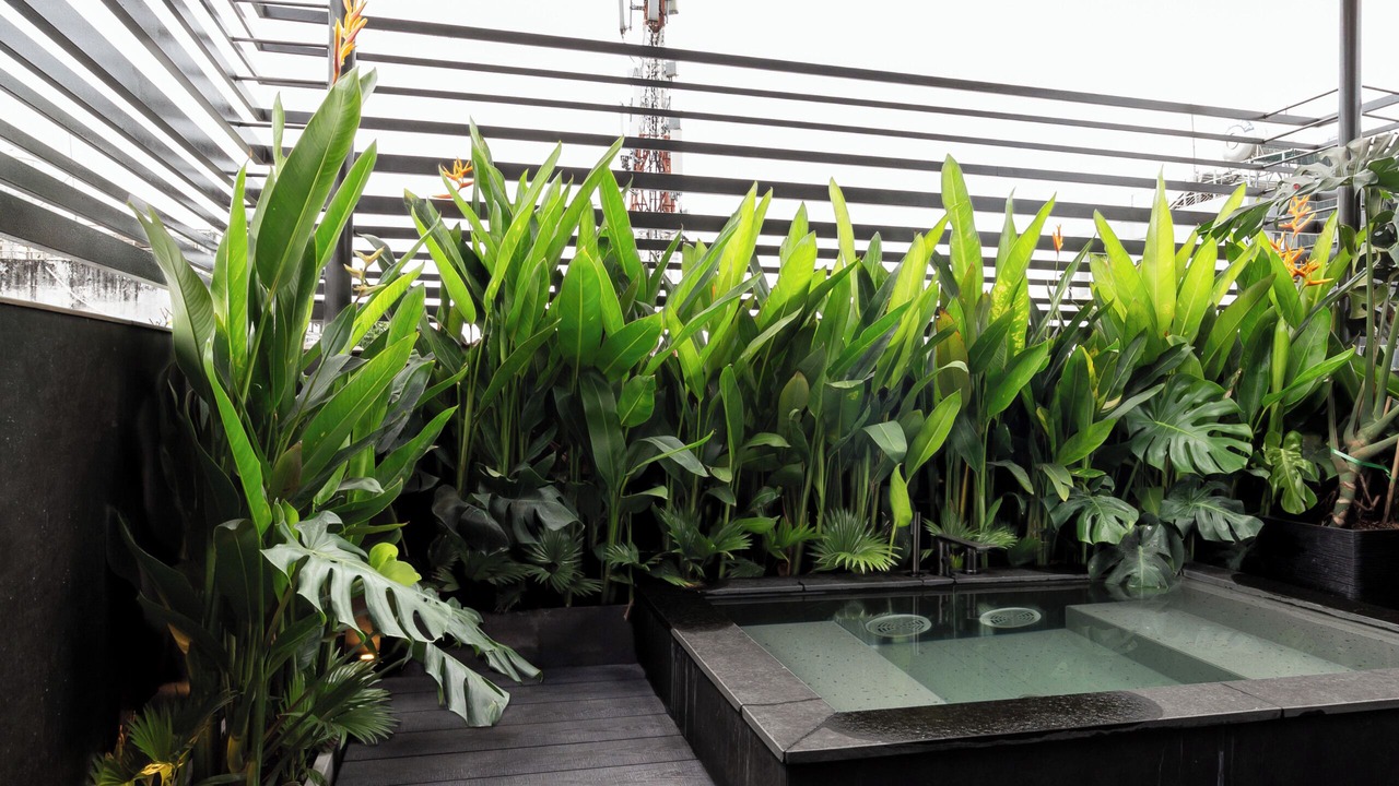 Photo of Outdoor in District 3