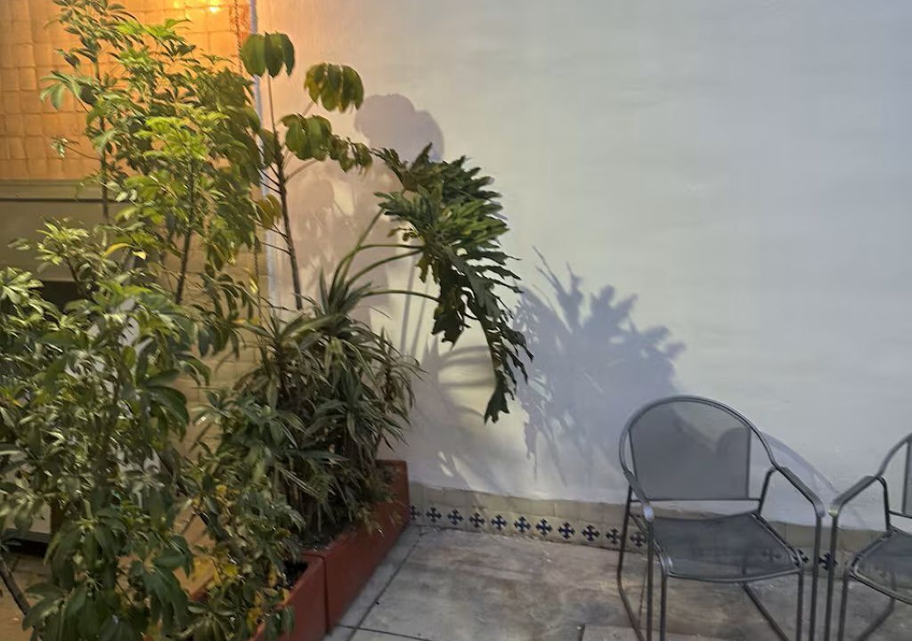 Photo of Patio Balcony in Coyoacan