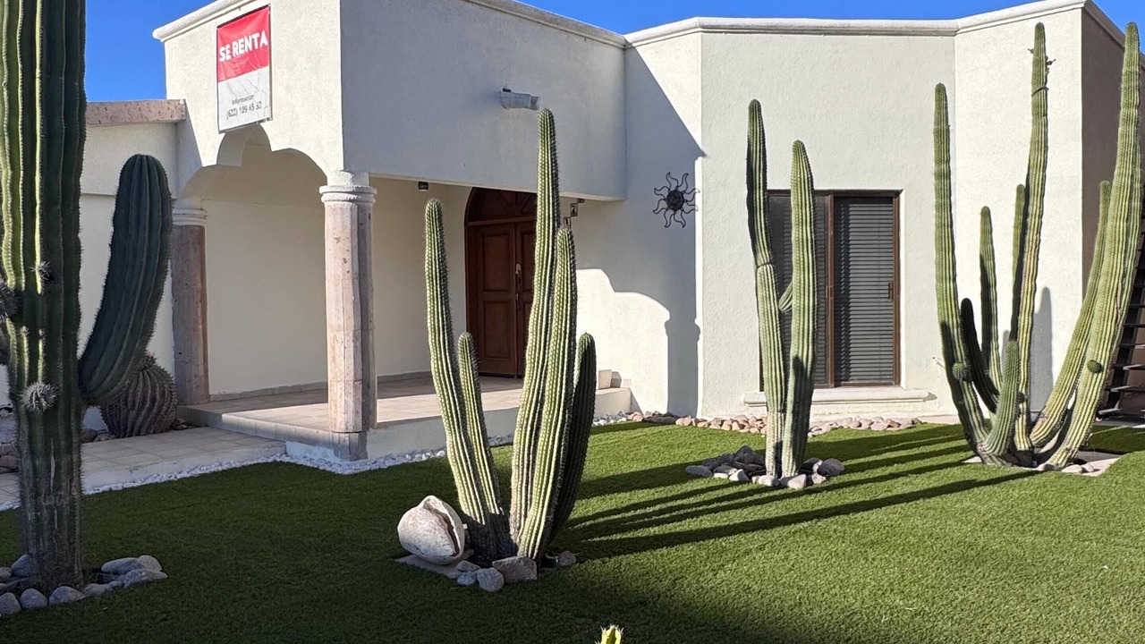 Photo of Outdoor in San Carlos
