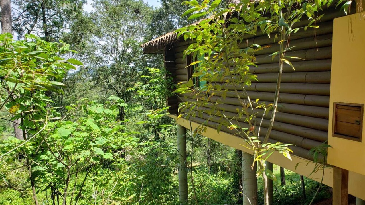 Photo of Outdoor in Mazamitla