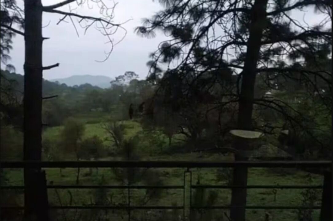Photo of Outdoor in Mazamitla