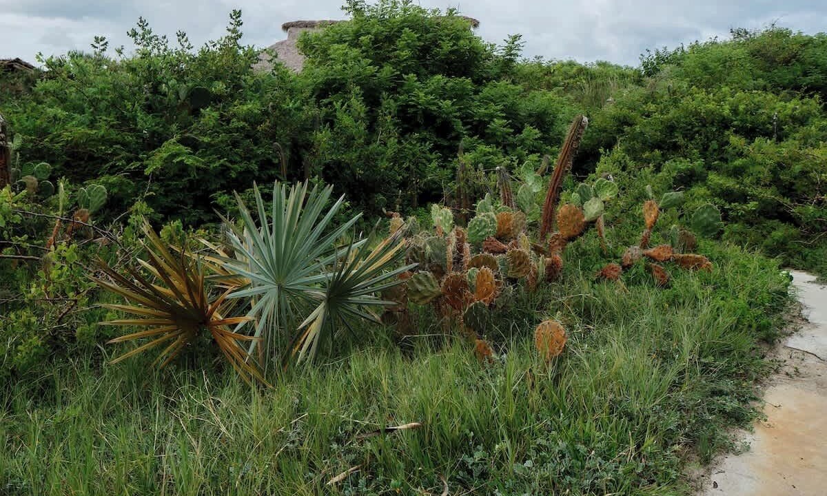 Photo of Outdoor in Puerto Escondido