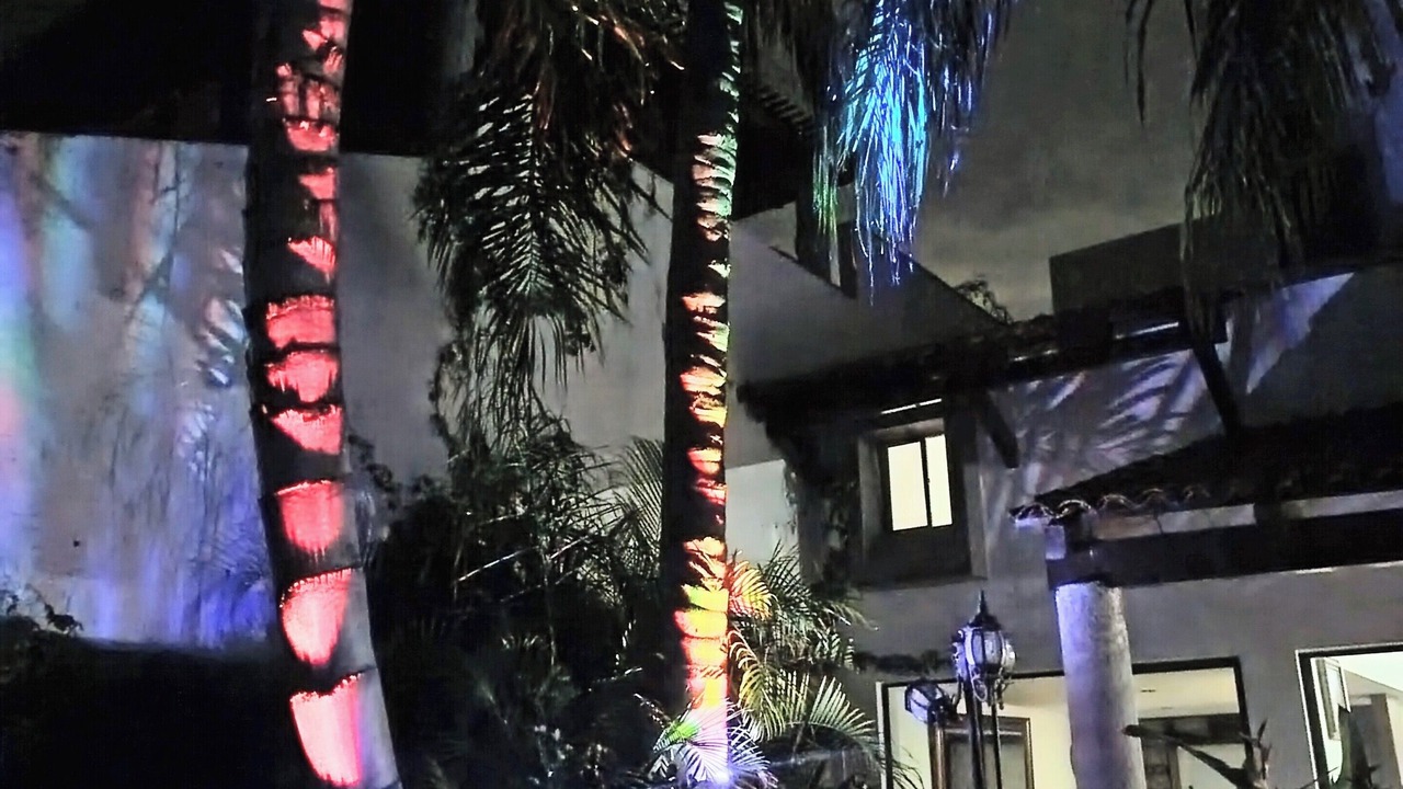 Photo of Outdoor in Ajijic