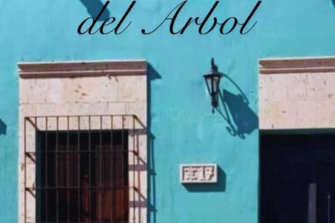 Photo of Outdoor in Tequila