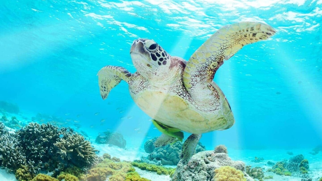 Photo of Others in Tulum