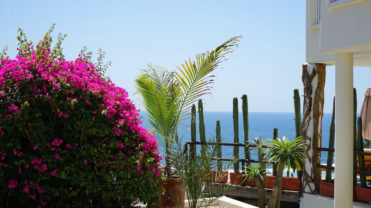 Photo of Outdoor in Puerto Angel