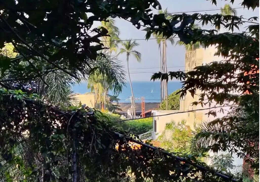 Photo of Others in Chacala