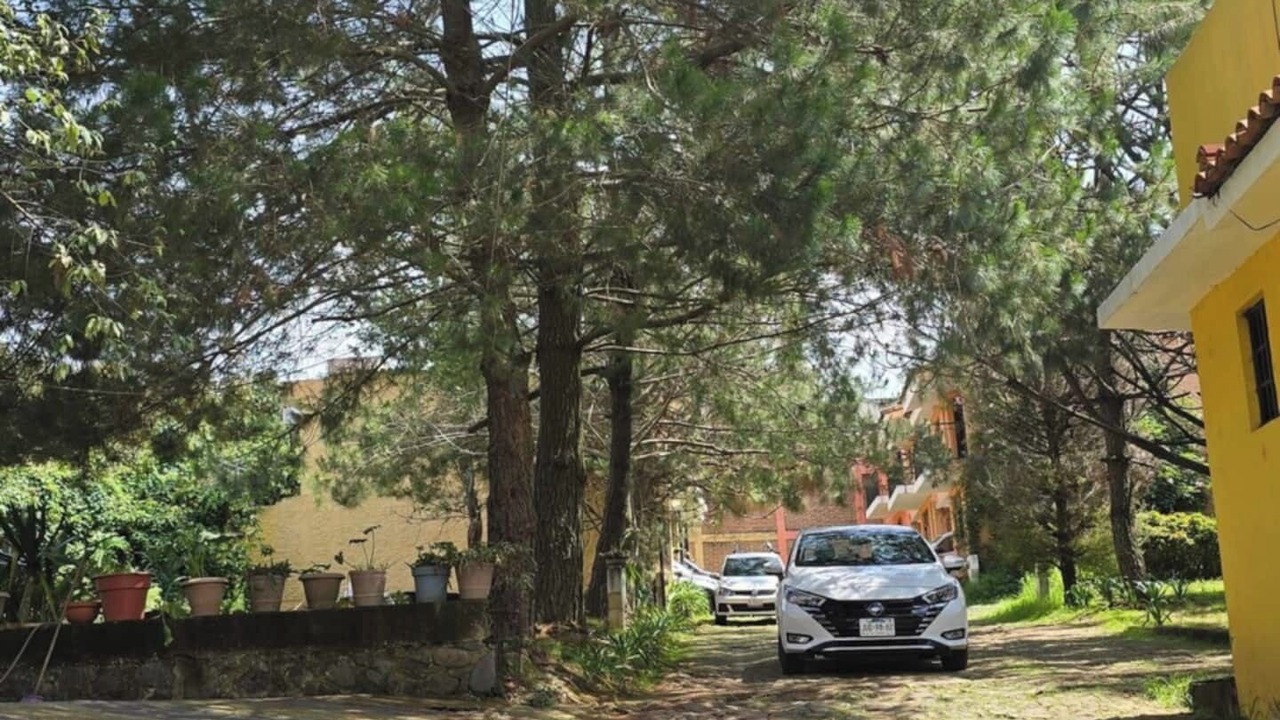 Photo of Outdoor in Mazamitla