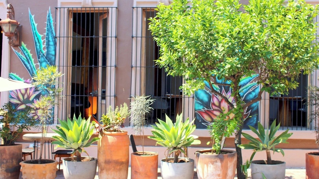 Photo of Patio Balcony in Guadalajara