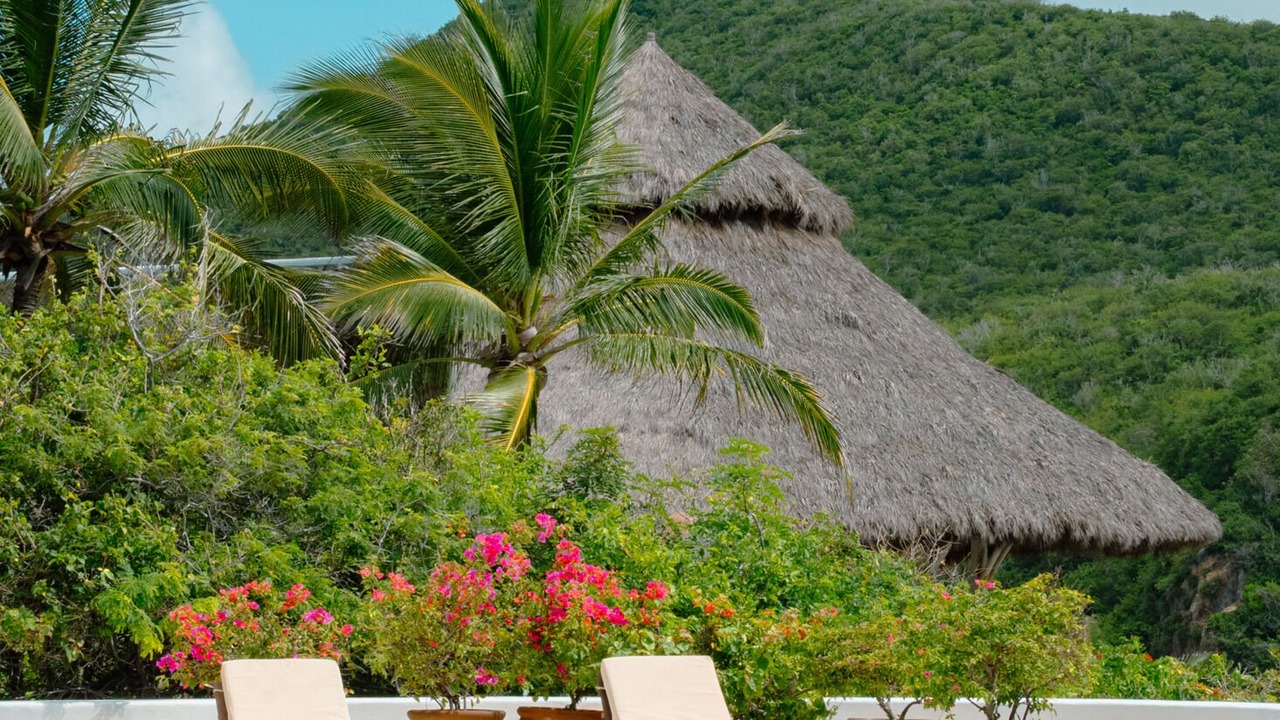 Photo of Outdoor in Chamela