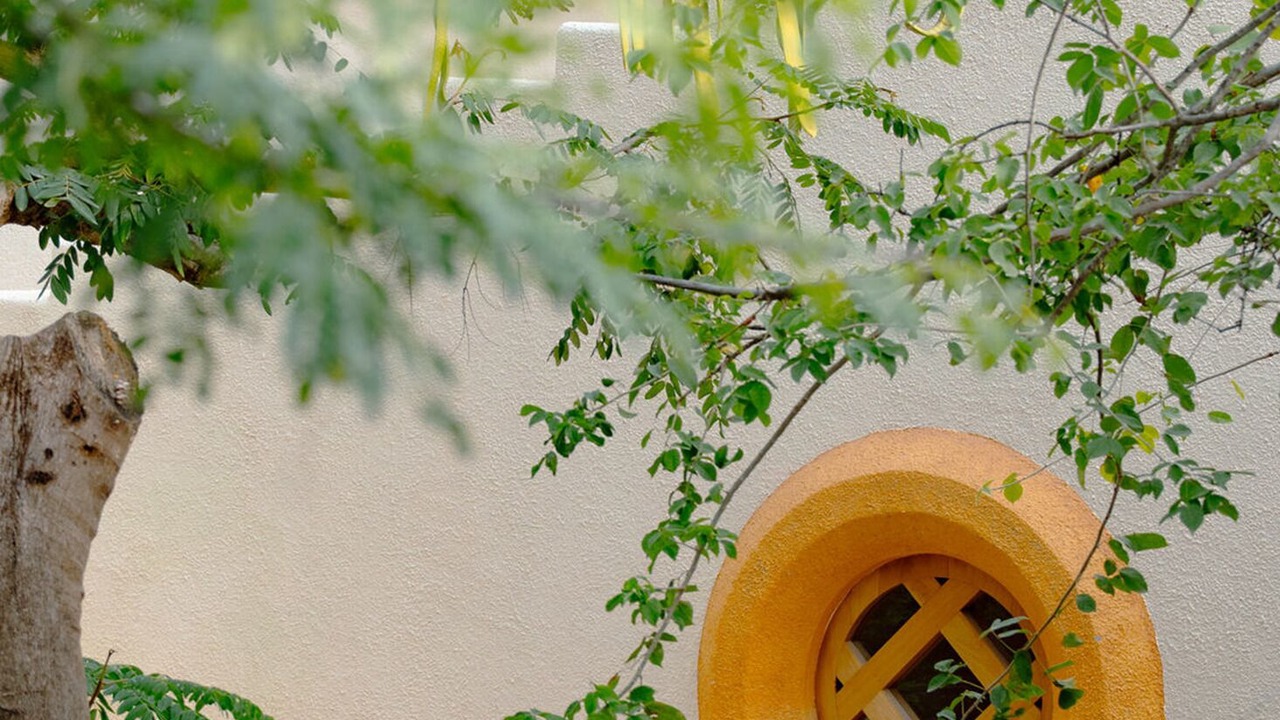 Photo of Outdoor in Chamela