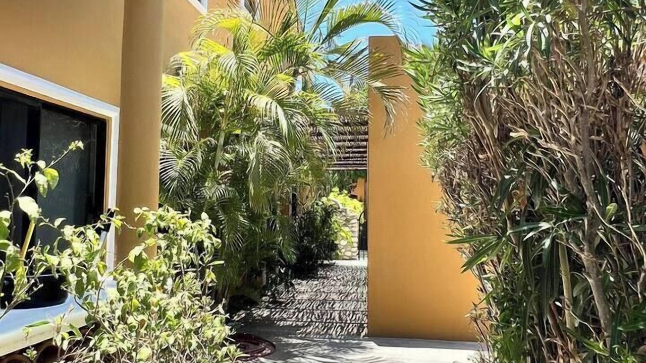 Photo of Outdoor in Los Barriles