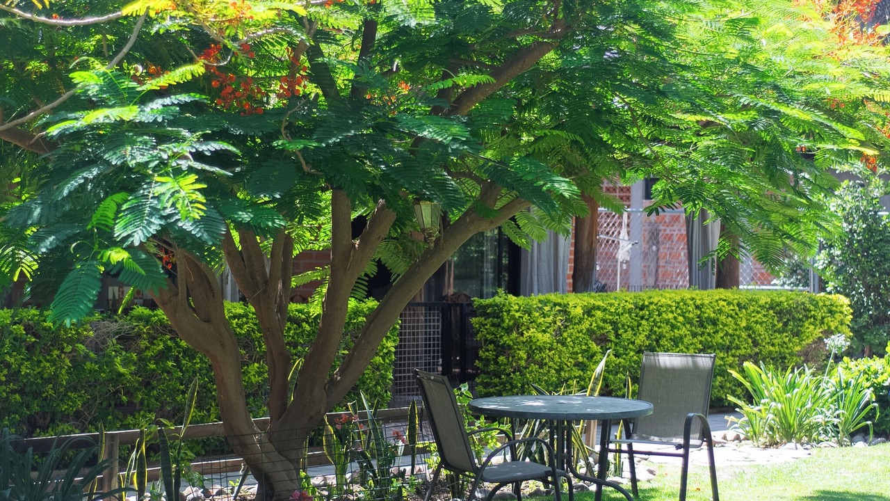 Photo of Outdoor in Zapopan