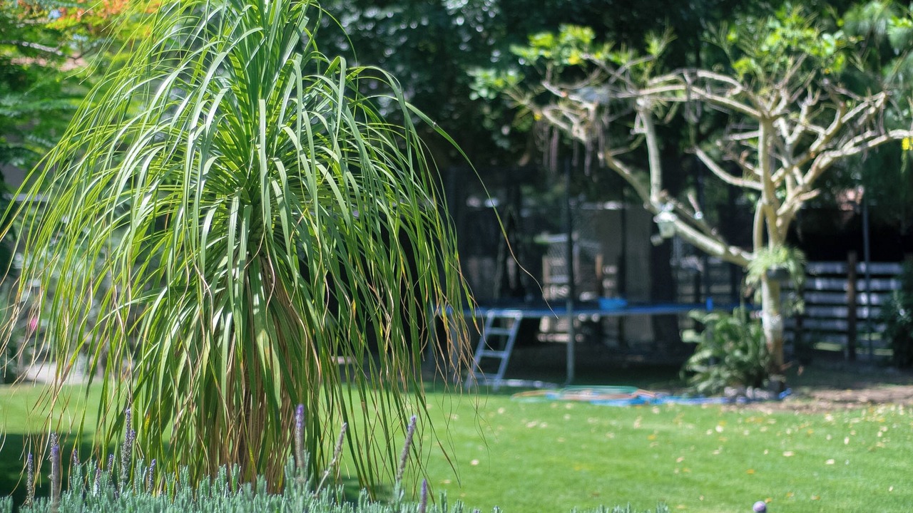 Photo of Outdoor in Zapopan