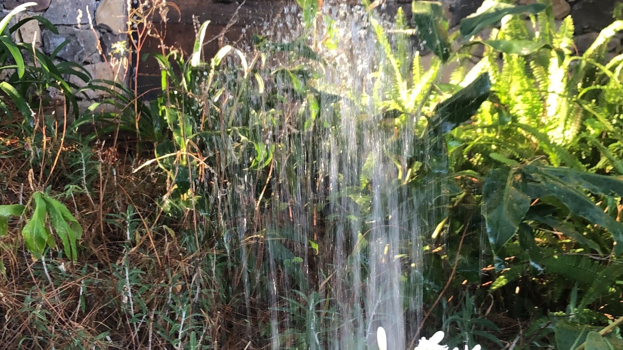 Photo of Outdoor in Balcones
