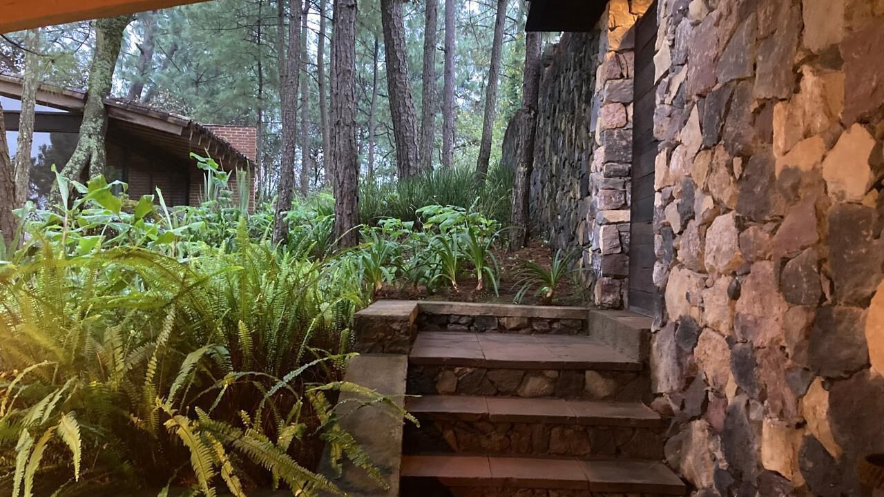 Photo of Outdoor in Balcones