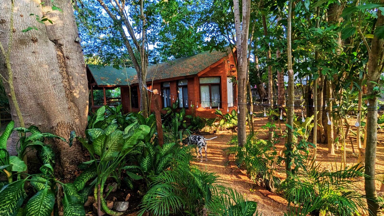Photo of Outdoor in Ixtapa