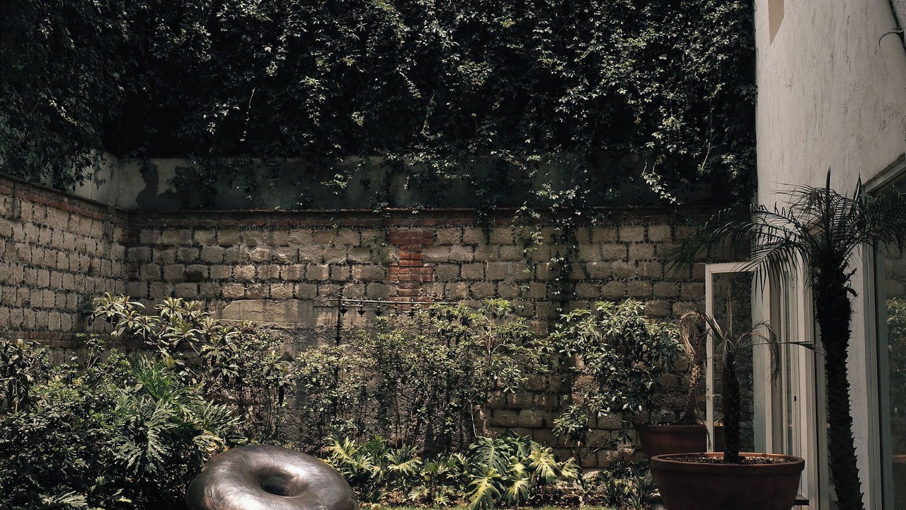 Photo of Outdoor in San Miguel Chapultepec