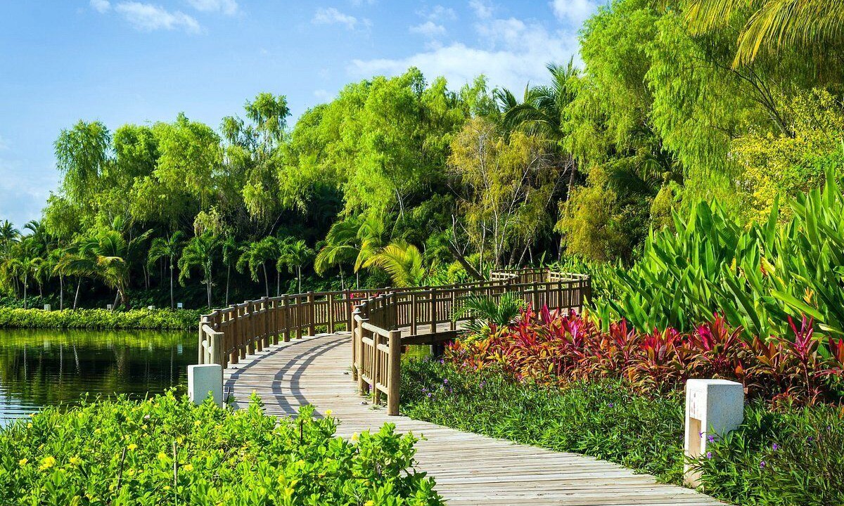 Photo of Outdoor in Isla Iguana