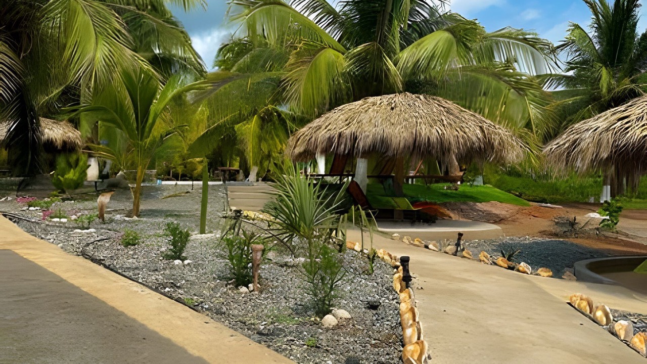 Photo of Outdoor in Saladita
