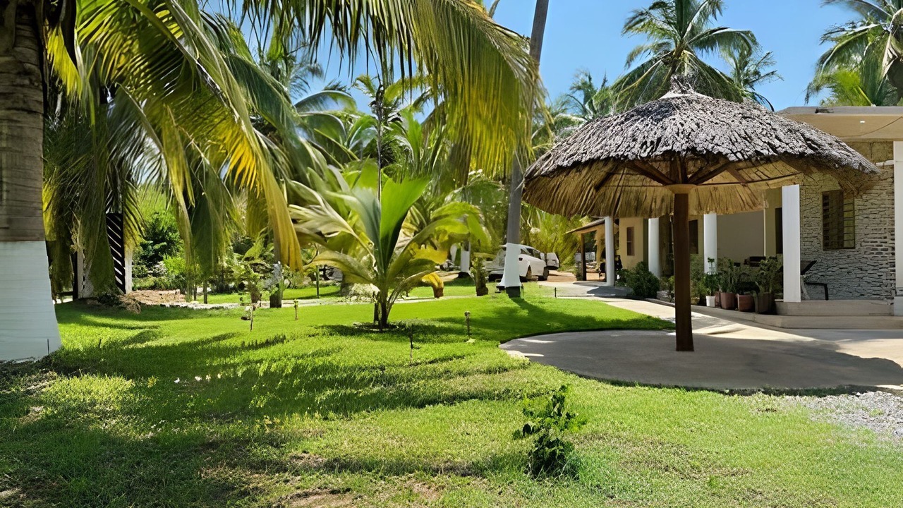 Photo of Outdoor in Saladita